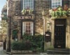 black bull