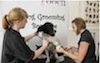 Pooch Dog Grooming